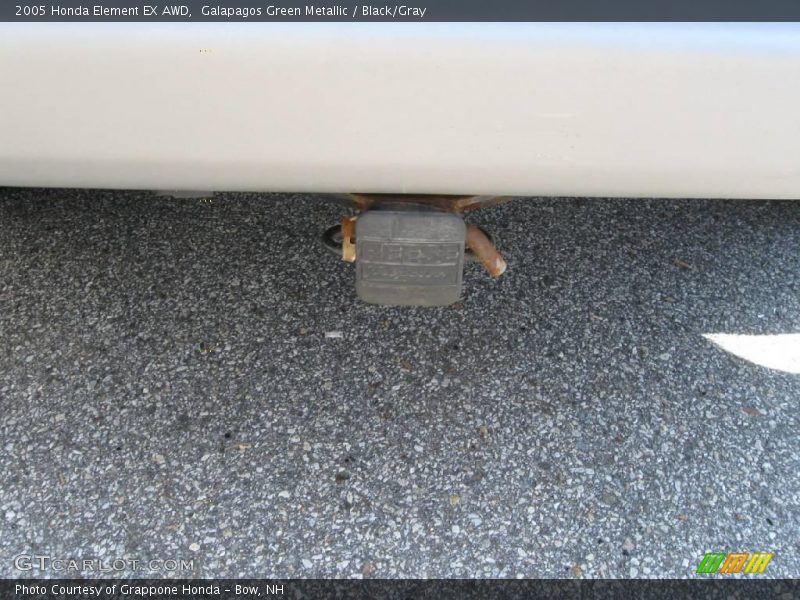 Galapagos Green Metallic / Black/Gray 2005 Honda Element EX AWD
