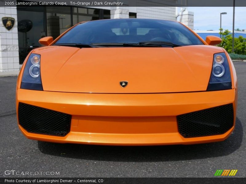 Tri-Orange / Dark Grey/Ivory 2005 Lamborghini Gallardo Coupe