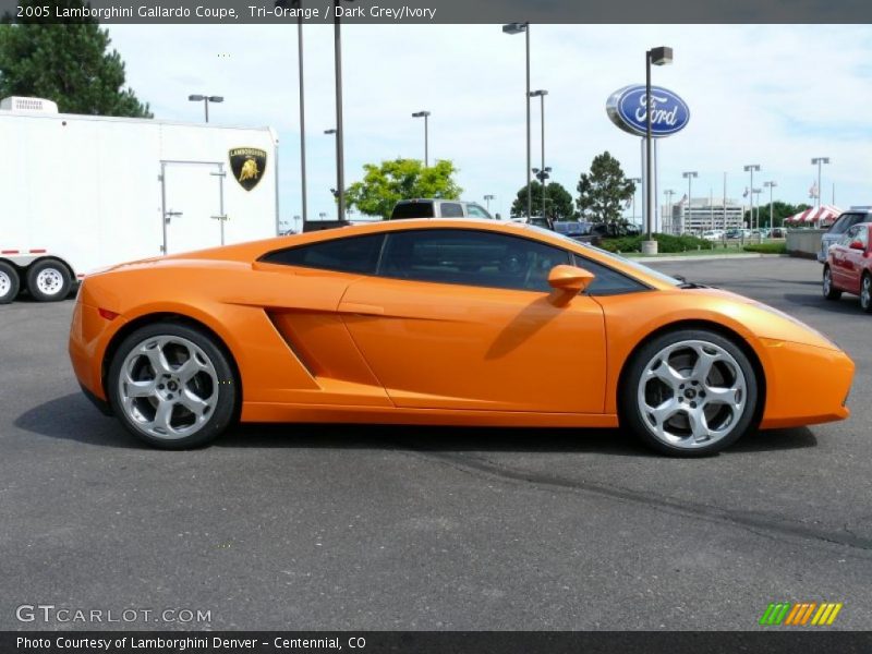 Tri-Orange / Dark Grey/Ivory 2005 Lamborghini Gallardo Coupe