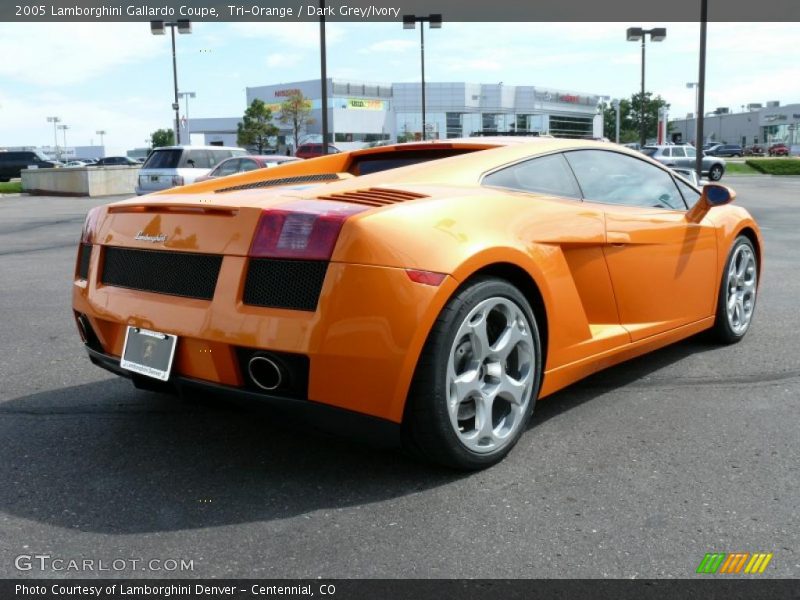 Tri-Orange / Dark Grey/Ivory 2005 Lamborghini Gallardo Coupe