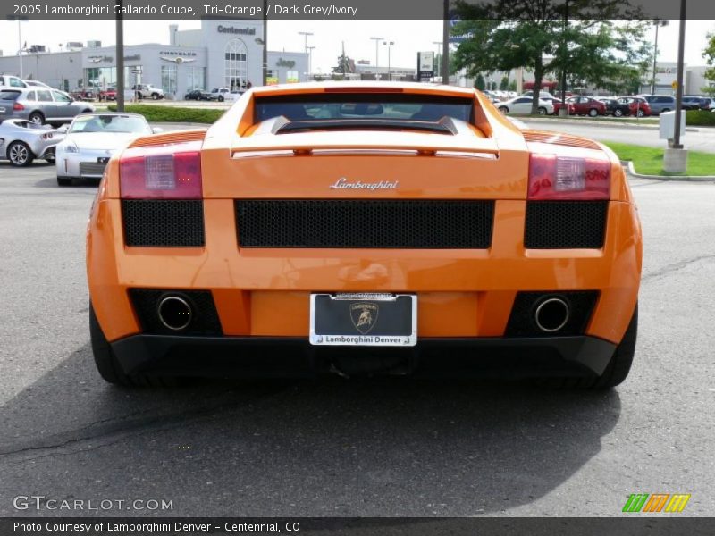 Tri-Orange / Dark Grey/Ivory 2005 Lamborghini Gallardo Coupe