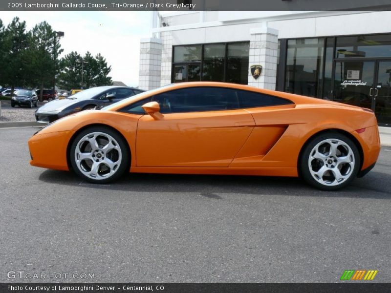 Tri-Orange / Dark Grey/Ivory 2005 Lamborghini Gallardo Coupe