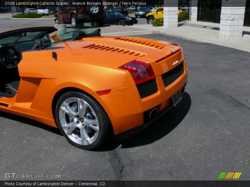Arancio Borealis (Orange) / Nero Perseus 2008 Lamborghini Gallardo Spyder
