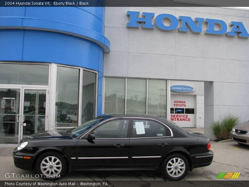 Ebony Black / Black 2004 Hyundai Sonata V6