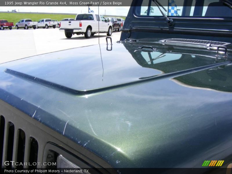Moss Green Pearl / Spice Beige 1995 Jeep Wrangler Rio Grande 4x4