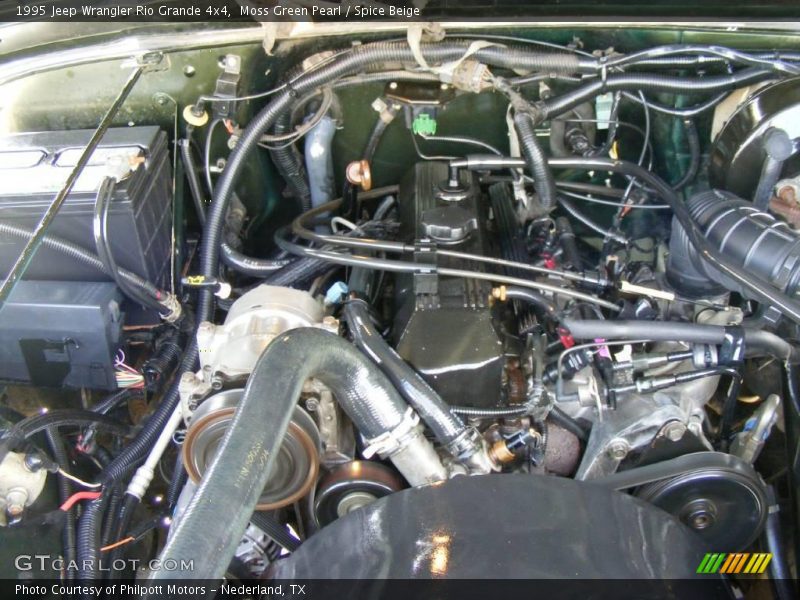 Moss Green Pearl / Spice Beige 1995 Jeep Wrangler Rio Grande 4x4
