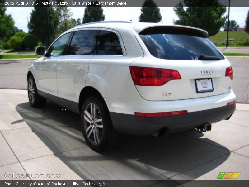 Calla White / Cardamom Beige 2009 Audi Q7 3.6 Prestige quattro