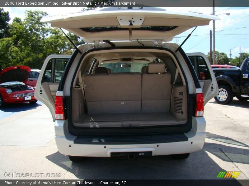 Silver Birch Metallic / Medium Parchment 2006 Ford Expedition Limited