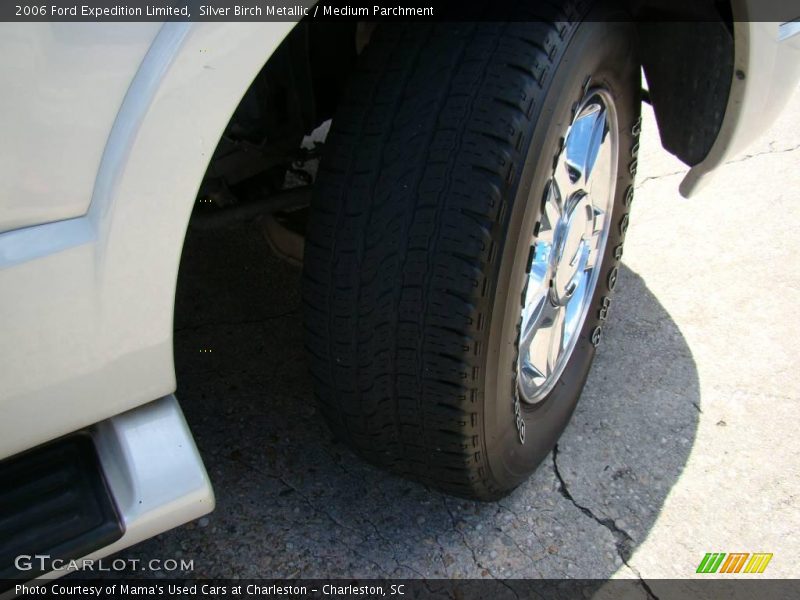 Silver Birch Metallic / Medium Parchment 2006 Ford Expedition Limited