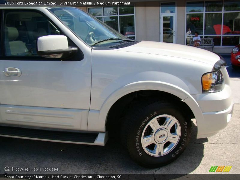 Silver Birch Metallic / Medium Parchment 2006 Ford Expedition Limited