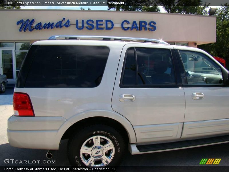 Silver Birch Metallic / Medium Parchment 2006 Ford Expedition Limited