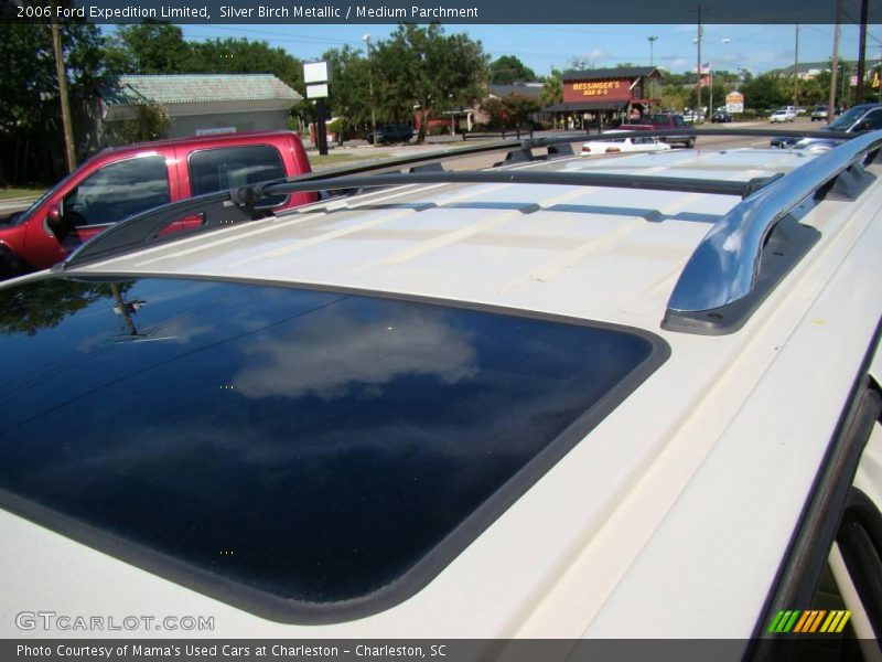 Silver Birch Metallic / Medium Parchment 2006 Ford Expedition Limited
