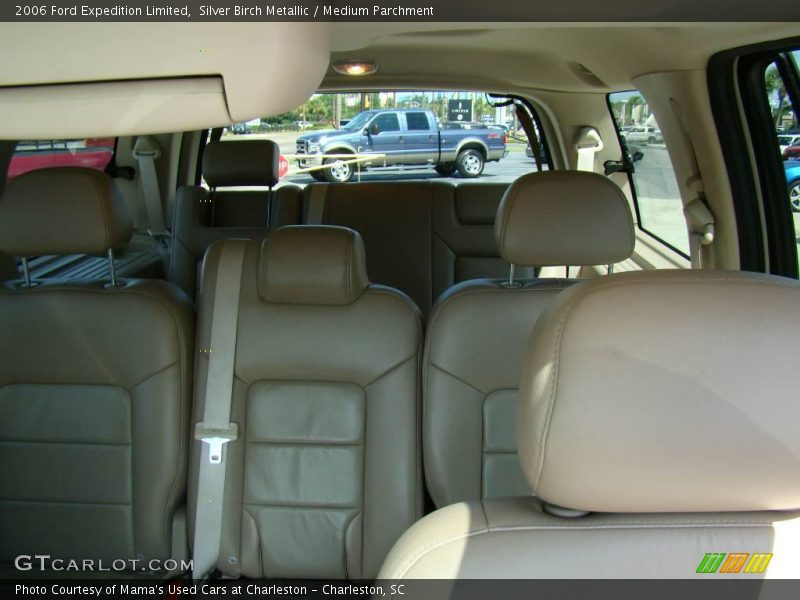 Silver Birch Metallic / Medium Parchment 2006 Ford Expedition Limited