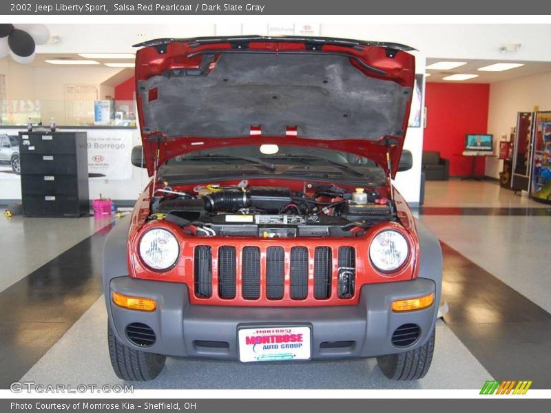 Salsa Red Pearlcoat / Dark Slate Gray 2002 Jeep Liberty Sport