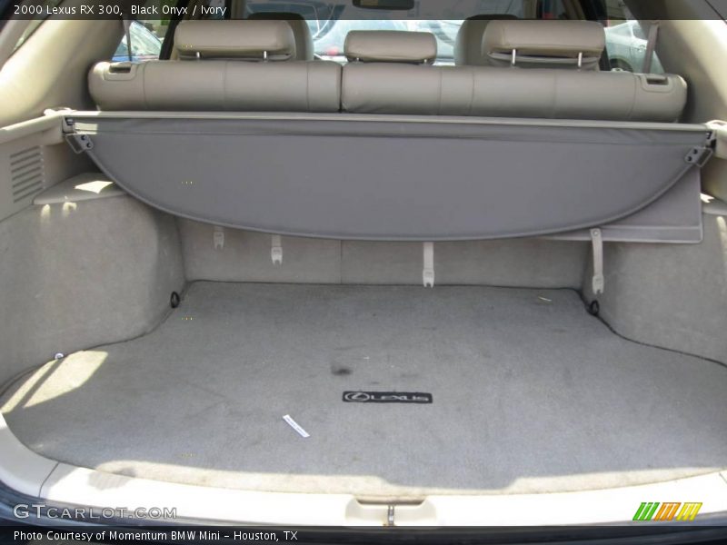 Black Onyx / Ivory 2000 Lexus RX 300