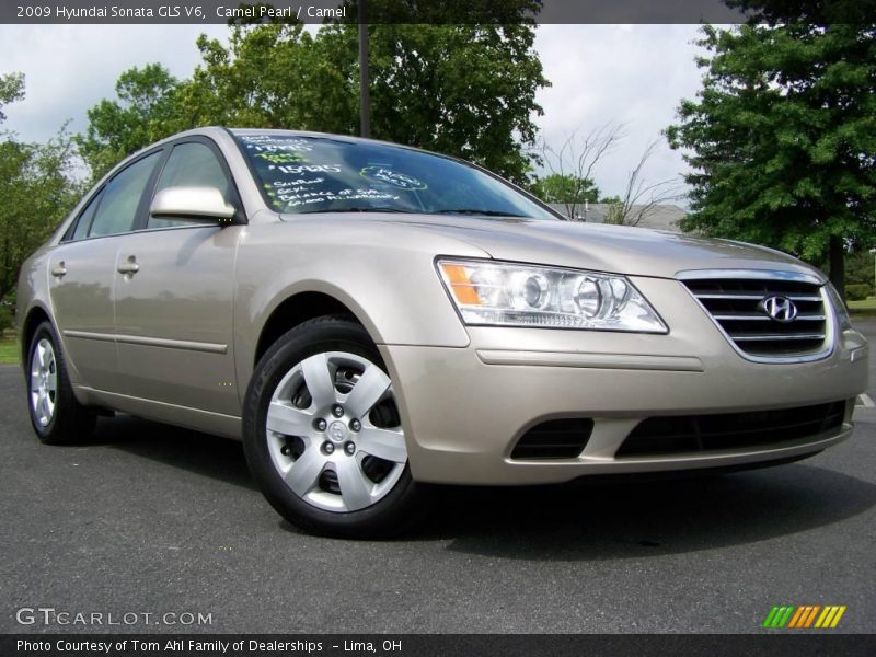 Camel Pearl / Camel 2009 Hyundai Sonata GLS V6