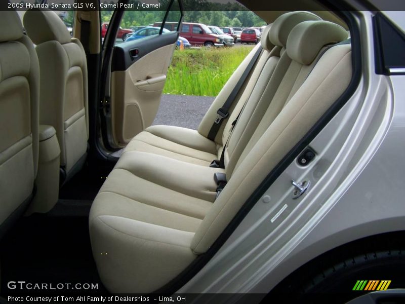 Camel Pearl / Camel 2009 Hyundai Sonata GLS V6