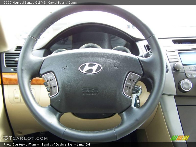 Camel Pearl / Camel 2009 Hyundai Sonata GLS V6