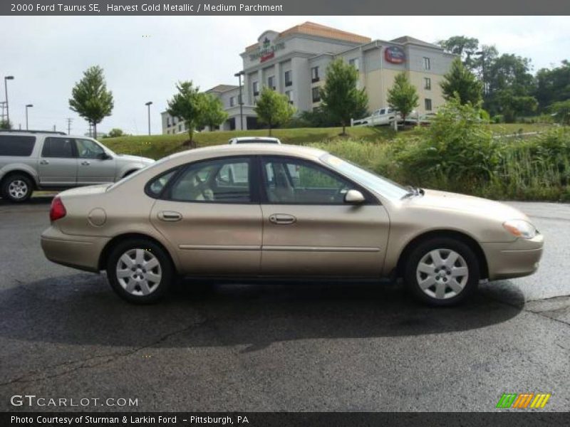 Harvest Gold Metallic / Medium Parchment 2000 Ford Taurus SE