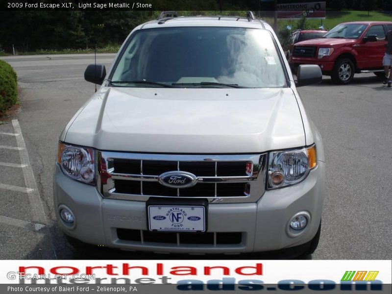 Light Sage Metallic / Stone 2009 Ford Escape XLT