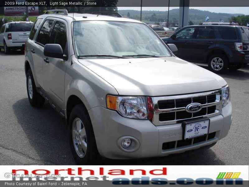 Light Sage Metallic / Stone 2009 Ford Escape XLT