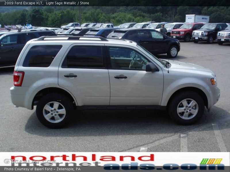 Light Sage Metallic / Stone 2009 Ford Escape XLT