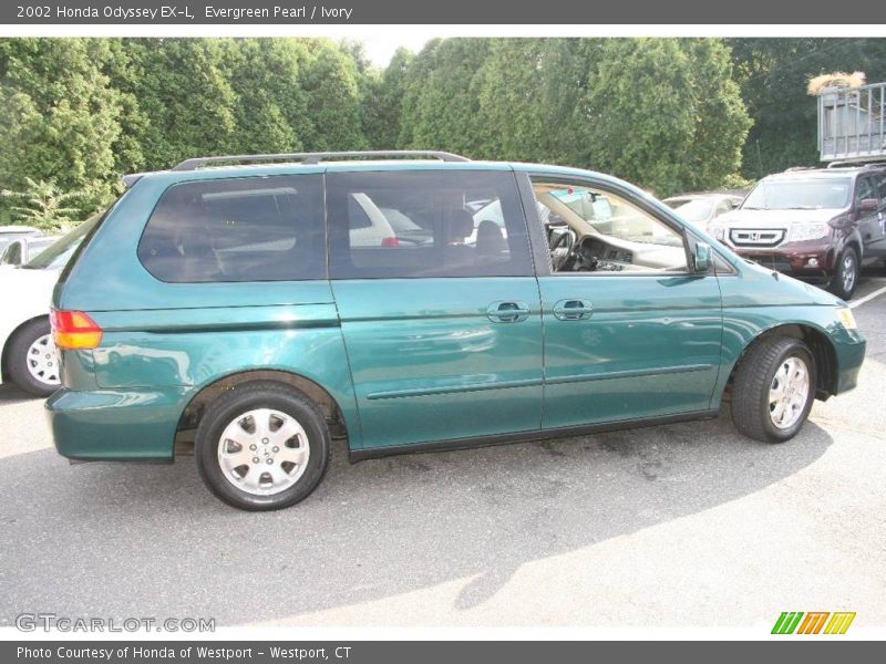 Evergreen Pearl / Ivory 2002 Honda Odyssey EX-L