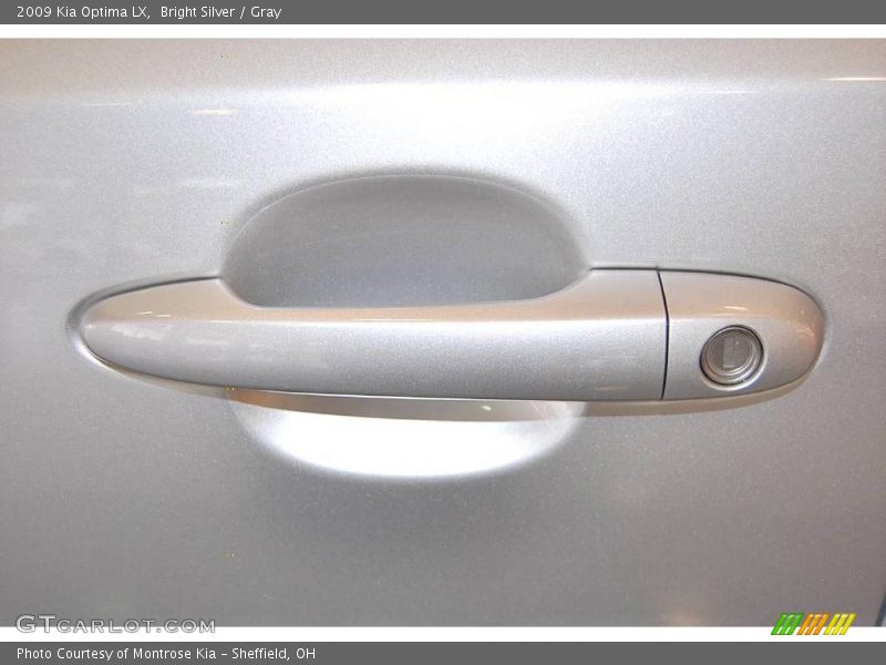 Bright Silver / Gray 2009 Kia Optima LX