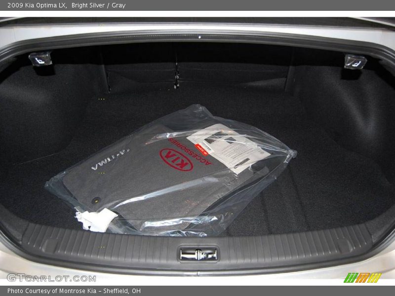 Bright Silver / Gray 2009 Kia Optima LX