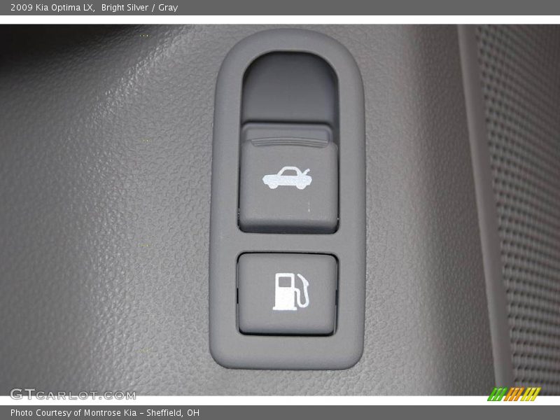 Bright Silver / Gray 2009 Kia Optima LX