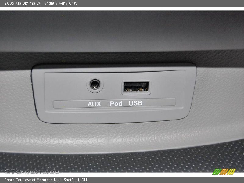 Bright Silver / Gray 2009 Kia Optima LX