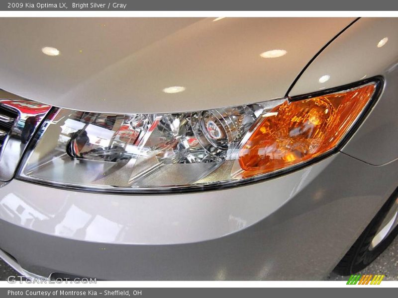 Bright Silver / Gray 2009 Kia Optima LX