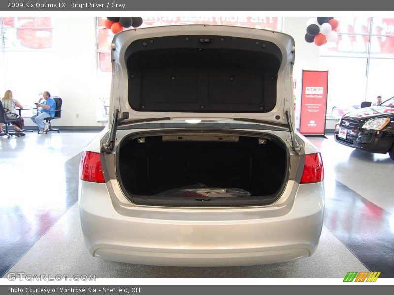 Bright Silver / Gray 2009 Kia Optima LX