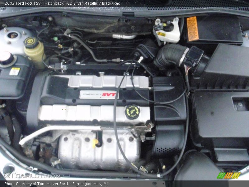 CD Silver Metallic / Black/Red 2003 Ford Focus SVT Hatchback