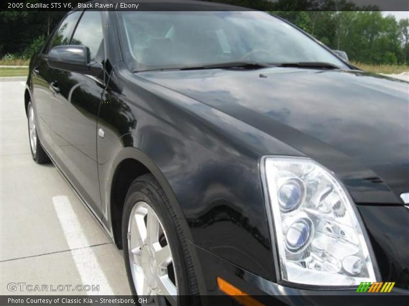Black Raven / Ebony 2005 Cadillac STS V6