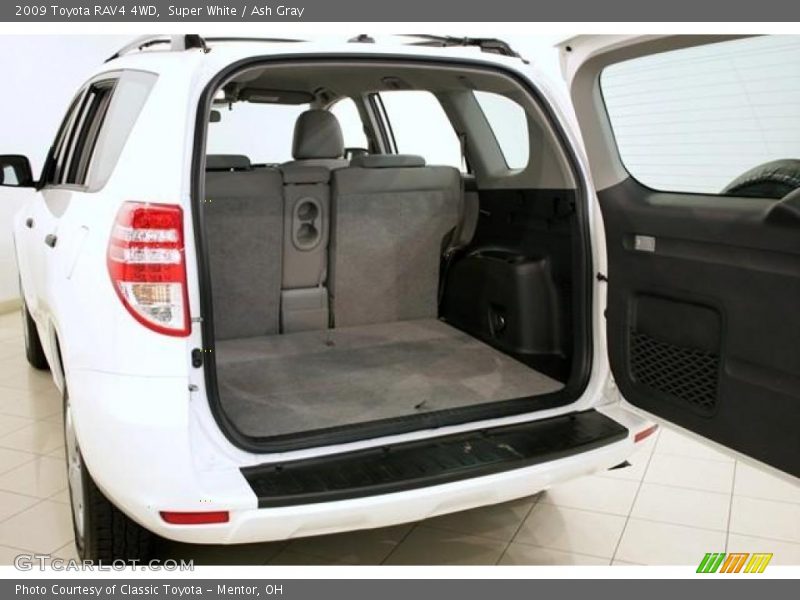 Super White / Ash Gray 2009 Toyota RAV4 4WD