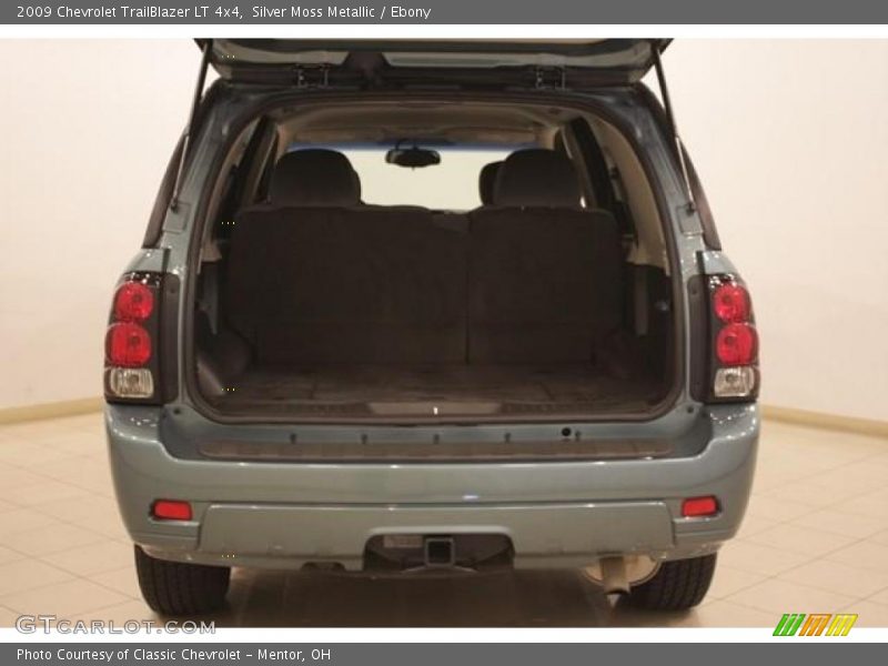 Silver Moss Metallic / Ebony 2009 Chevrolet TrailBlazer LT 4x4