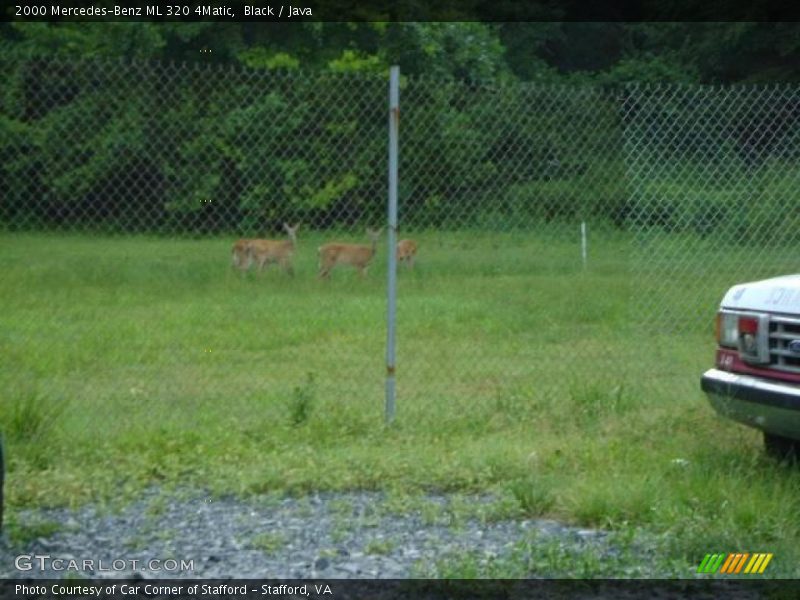 Black / Java 2000 Mercedes-Benz ML 320 4Matic