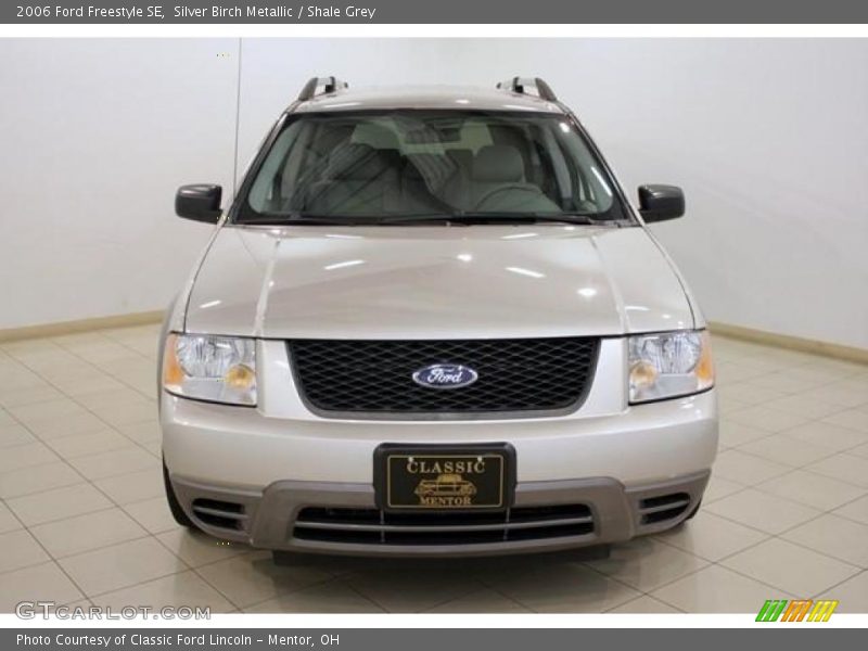 Silver Birch Metallic / Shale Grey 2006 Ford Freestyle SE