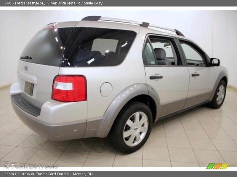 Silver Birch Metallic / Shale Grey 2006 Ford Freestyle SE