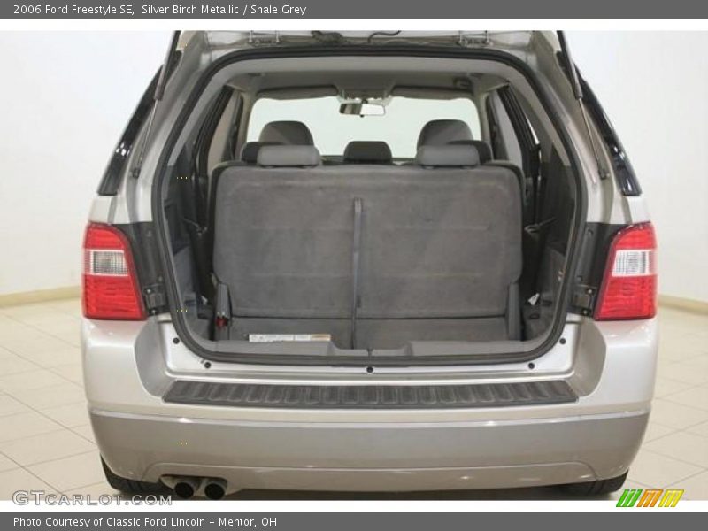 Silver Birch Metallic / Shale Grey 2006 Ford Freestyle SE