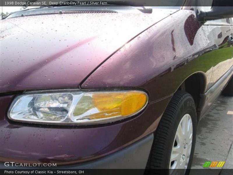 Deep Cranberry Pearl / Silver Fern 1998 Dodge Caravan SE