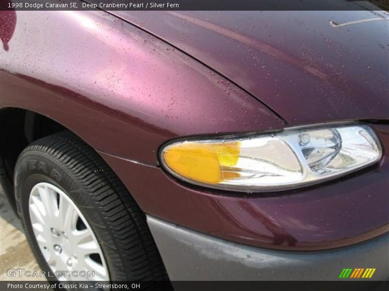 Deep Cranberry Pearl / Silver Fern 1998 Dodge Caravan SE