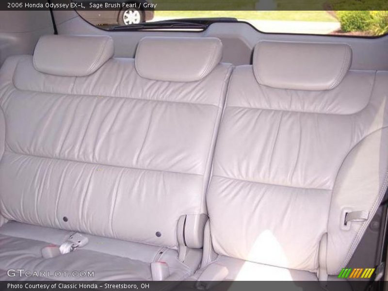 Sage Brush Pearl / Gray 2006 Honda Odyssey EX-L