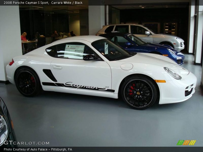 Carrara White / Black 2008 Porsche Cayman S Sport