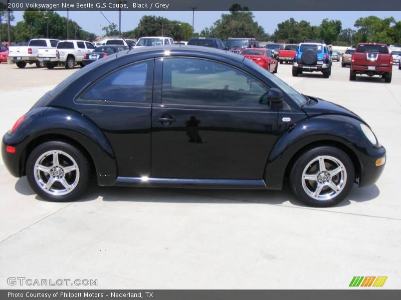 Black / Grey 2000 Volkswagen New Beetle GLS Coupe