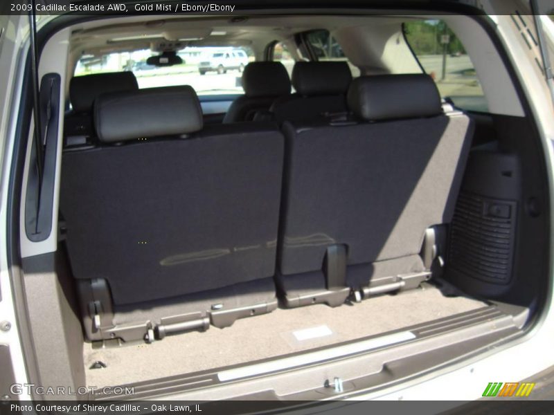 Gold Mist / Ebony/Ebony 2009 Cadillac Escalade AWD
