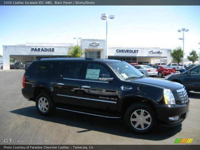Black Raven / Ebony/Ebony 2009 Cadillac Escalade ESV AWD