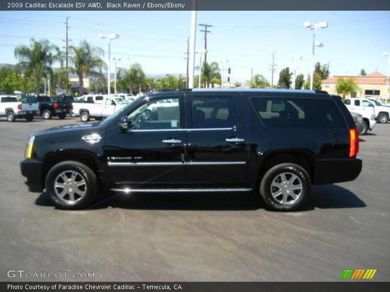 Black Raven / Ebony/Ebony 2009 Cadillac Escalade ESV AWD