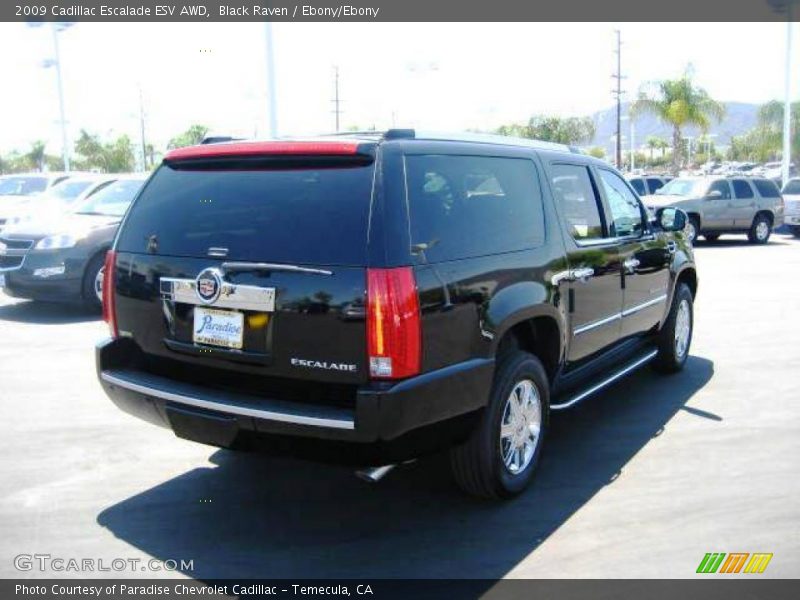 Black Raven / Ebony/Ebony 2009 Cadillac Escalade ESV AWD